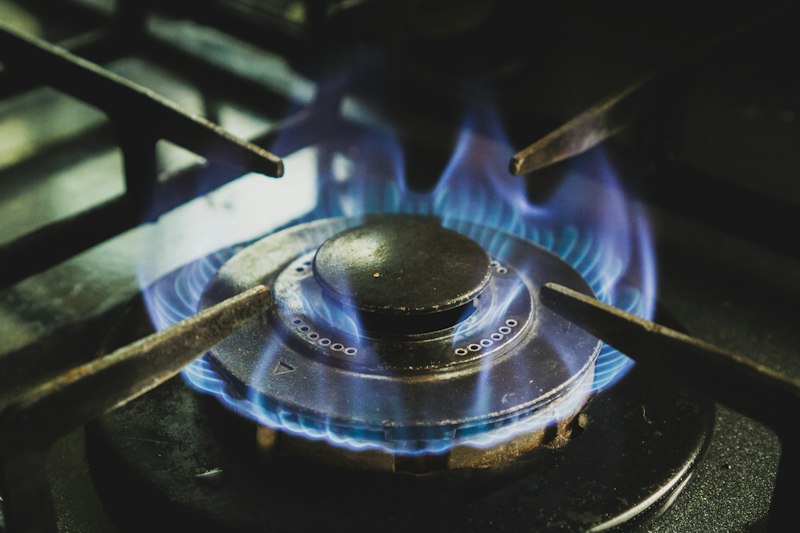 Gas burner flame